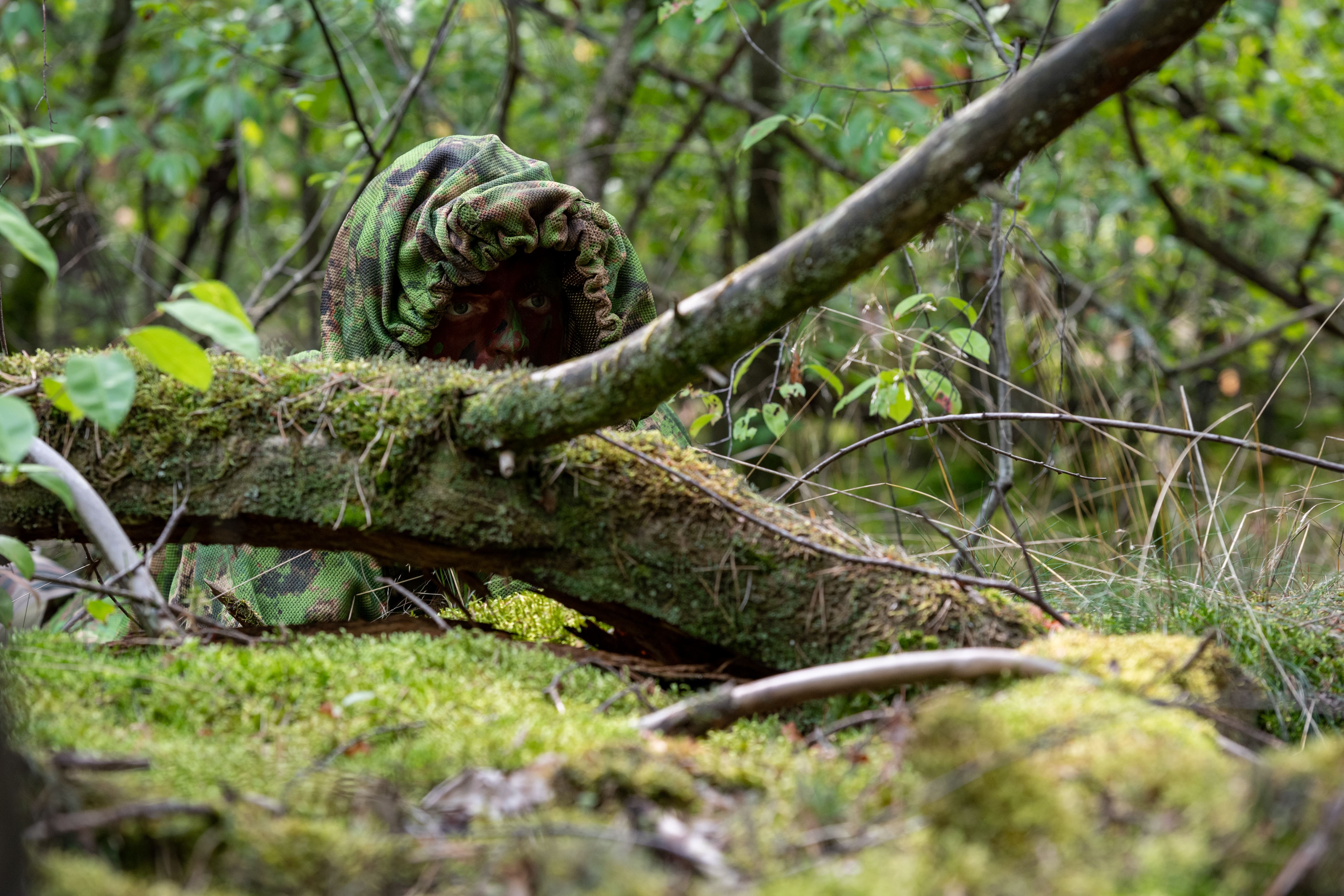 Les soldats se rendent invisibles dans la forêt.