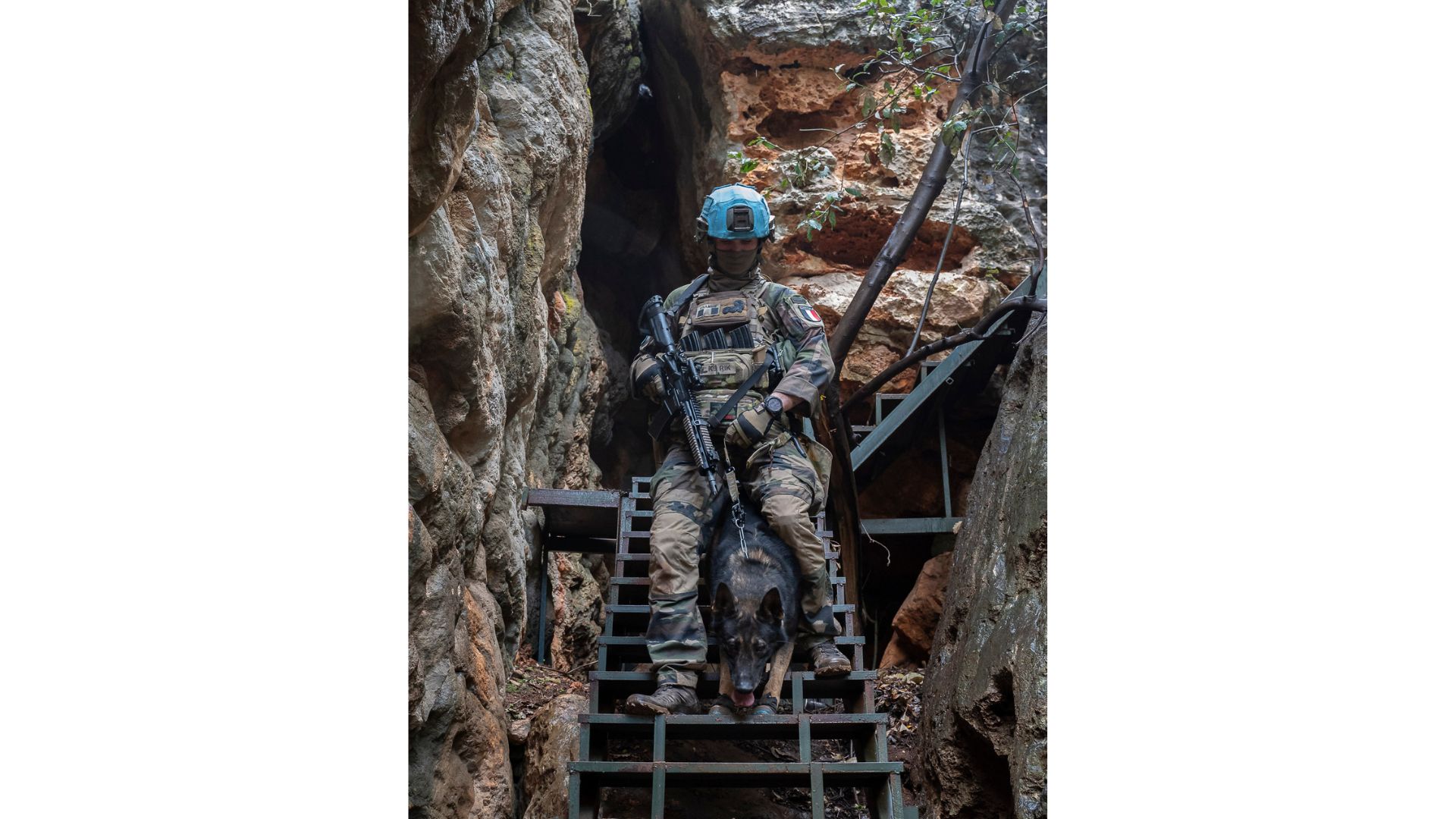 Un soldat français suit Rik, son chien spécialisé dans la détection de matière explosive.